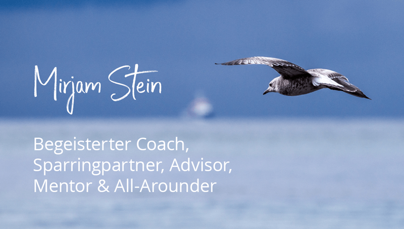 Möwe fliegt über Ostsee Mirjam Stein, Personal/Business Coach, Team Coach, Mindfulness Trainer