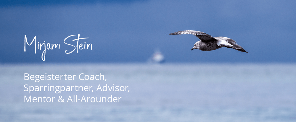 Möwe fliegt über Ostsee Mirjam Stein, Personal/Business Coach, Team Coach, Mindfulness Trainer